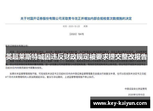 英超莱斯特城因违反财政规定被要求提交整改报告