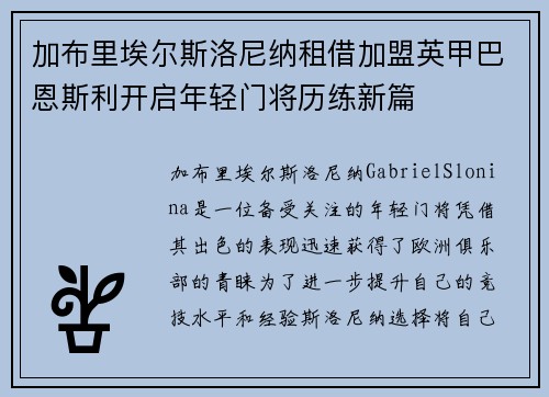 加布里埃尔斯洛尼纳租借加盟英甲巴恩斯利开启年轻门将历练新篇